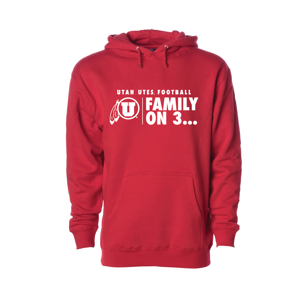 Family on 3 - Circle and Feather Embroidered Hoodie