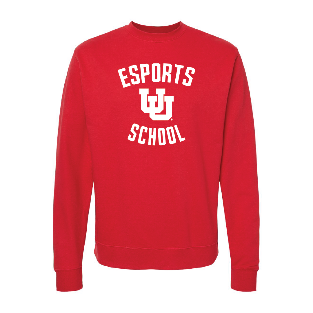Esport School Embroidered Crew Neck Sweatshirt