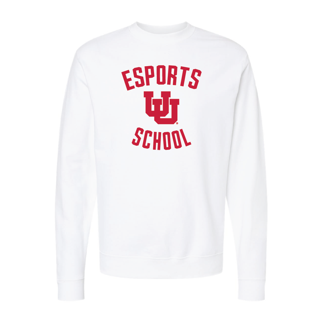 Esport School Embroidered Crew Neck Sweatshirt