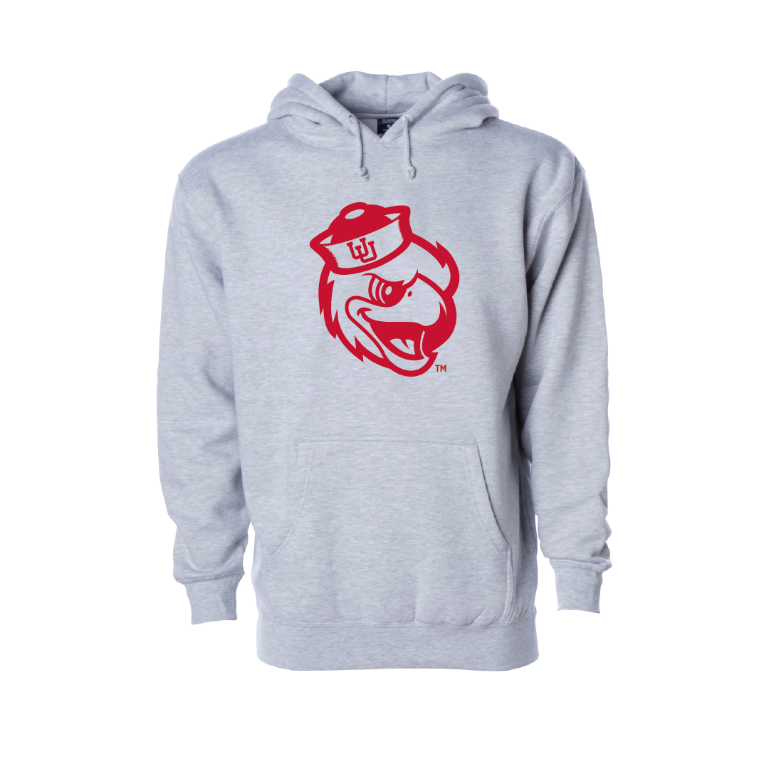 Swoop  Embroidered Hoodie